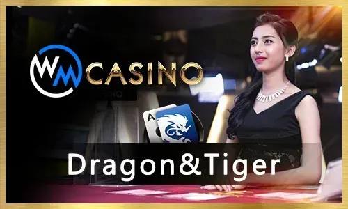 phdream customer support helping an esports bettor